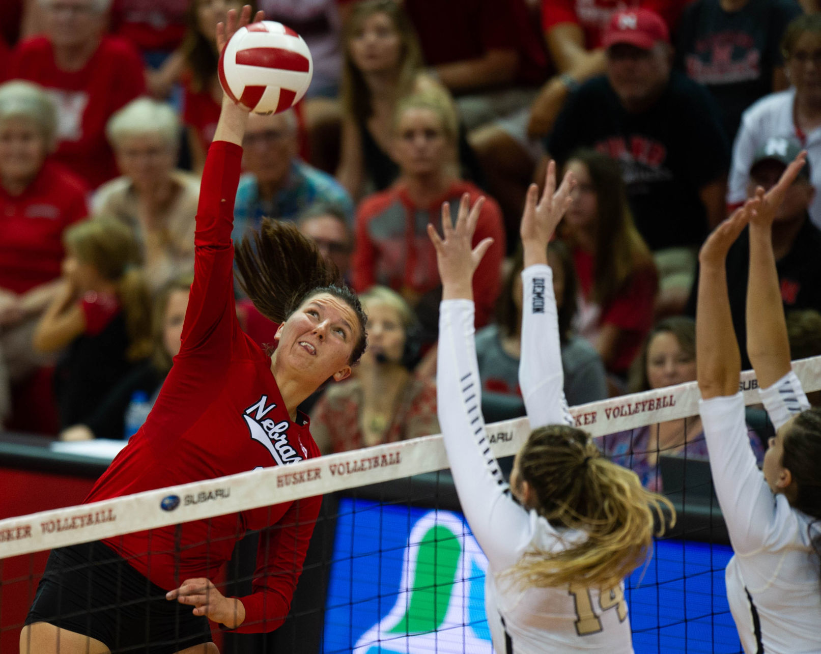 NU Volleyball vs. Wake Forest, 8.31.18